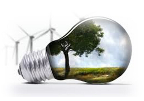 sustainable-bulb-new2